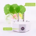 Soft Glow Flower Sensor Light – Color-Changing Romantic Night Lamp